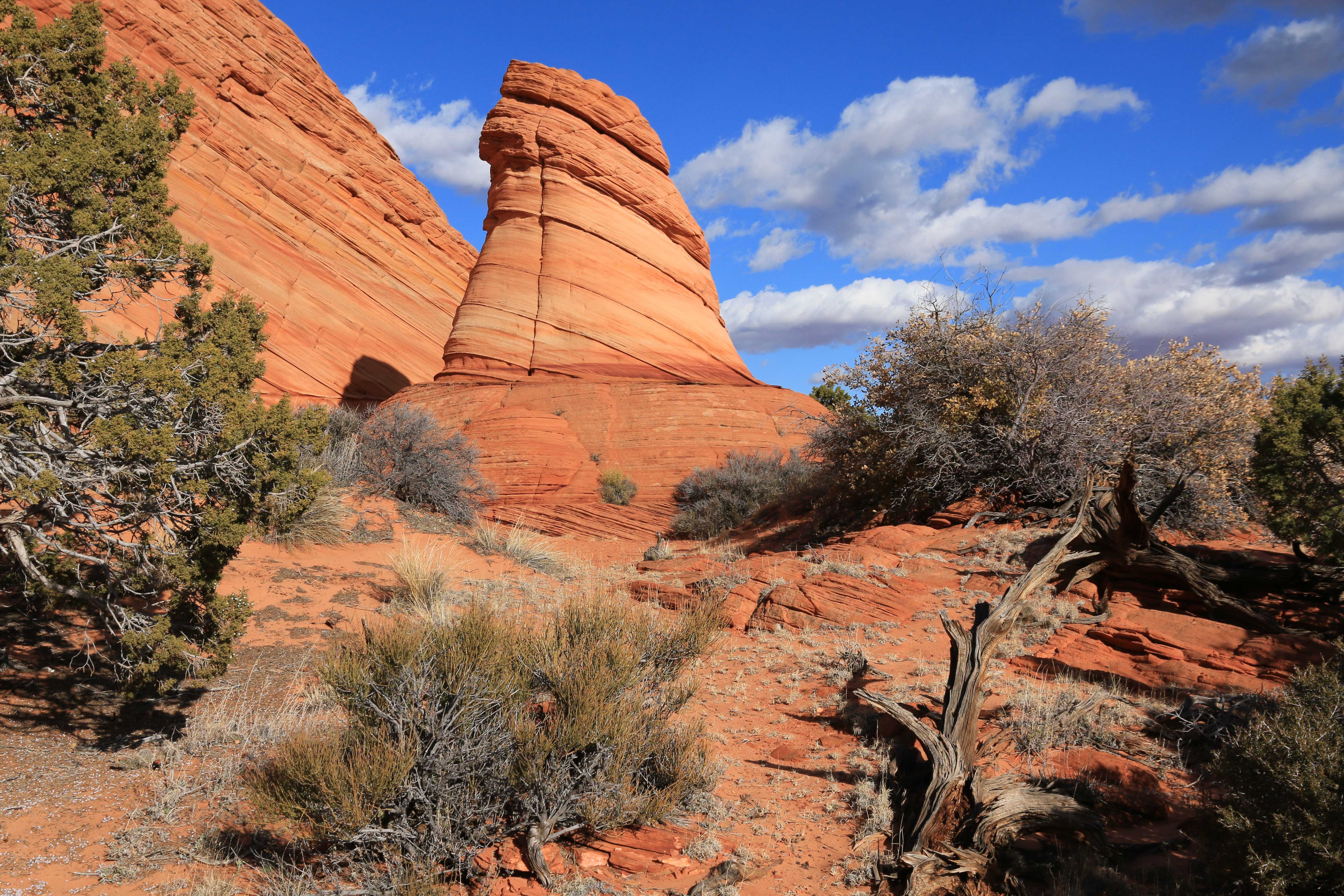 Coyote Buttes